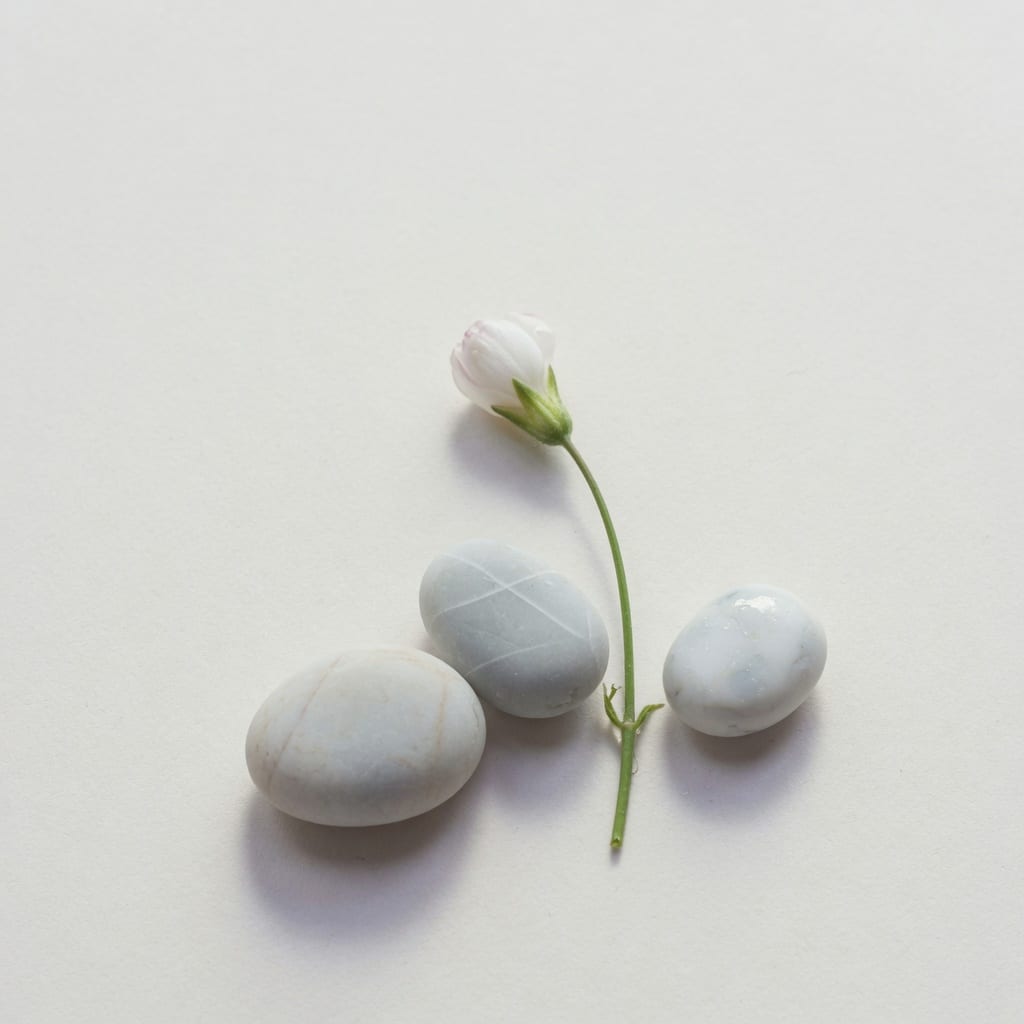 오프화이트 배경에 작은 둥근 조약돌 세 개와 여린 하얀 꽃봉오리 한 가지가 미니멀하게 배치된 에디토리얼 정물 이미지 — 고요한 기대감을 담은 정방형 구도